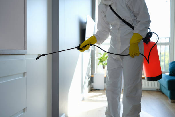Best Residential Mold Remediation in Paw Paw, MI