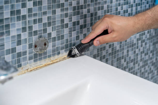 Best Mold Remediation for Schools in Paw Paw, MI